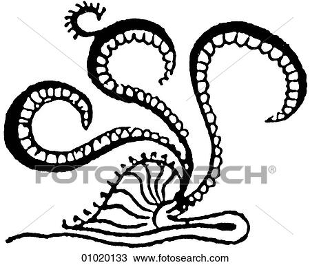 Drawing - Signs & Symbols - line art. Fotosearch