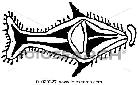Stock Illustration - Signs & Symbols - line art Pacific Drawing of a fish from New Ireland. New Ireland is an island in the Bismarck Archipelago of Papua New Guinea.. Fotosearch