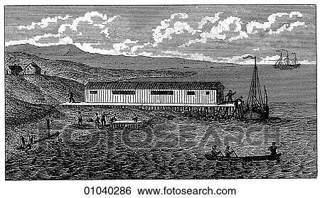 Industry & Technology -line art (y4) Whaling Illustration A coastal whaling station ocean water, sea, boat, 18th century View Large Illustration Stock Illustration - Industry & Technology -line art (y4) Whaling Illustration A coastal whaling station ocean water, sea, boat, 18th century. Fotosearch