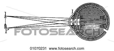 Science & Medicine - line art (Scientific) Physics Optics View Large Illustration Clip Art - Science & Medicine - line art (Scientific) Physics Optics. Fotosearch