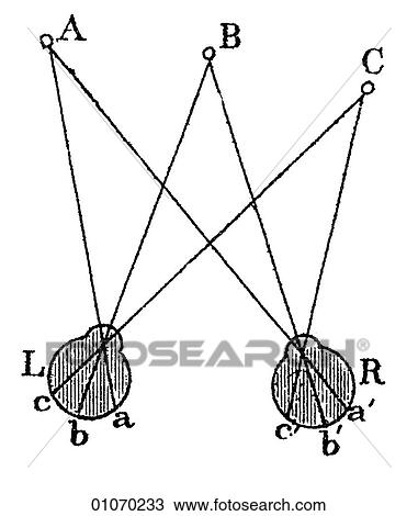 Science & Medicine - line art (Scientific) Physics Optics View Large Illustration Drawing - Science & Medicine - line art (Scientific) Physics Optics. Fotosearch
