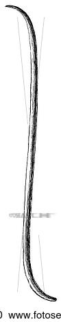 Clipart - Science & Medicine - line art (Medical) Dental Instruments Surgical tool, medical instrument Illustration from Heister`s Surgery Heister`s Surgery is an 18th century medical text published in 1743, the year Thomas Jefferson was born. It was billed as a. Fotosearch
