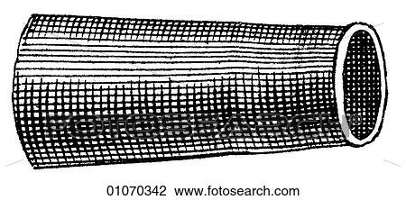 Science & Medicine - line art (Medical) Eye Disorders and Instruments. Medical Device Illustration from Heister`s Surgery Heister`s Surgery is an 18th century medical text published in 1743, the year Thomas Jefferson was born. It was billed as a "Gener View Large Illustration Drawing - Science & Medicine - line art (Medical) Eye Disorders and Instruments. Medical Device Illustration from Heister`s Surgery Heister`s Surgery is an 18th century medical text published in 1743, the year Thomas Jefferson was born. It was billed as a "Gener. Fotosearch