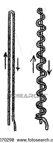 Stock Illustration - Science & Medicine - line art (Scientific) Laboratory equipment. Fotosearch