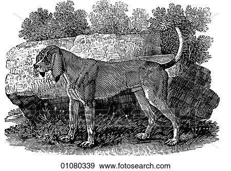 植物相 動物群 線画 A 19世紀 彫版 動物 犬 古い 英語 猟犬 それ 持つ ある 前述 の キツネ狩り それ それ ある The 追跡 の Inedible によって Unspeakable