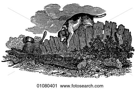 Flora & Fauna - line art - a 19th century engraving Animal Dog View Large Illustration Clip Art - Flora & Fauna - line art - a 19th century engraving Animal Dog. Fotosearch