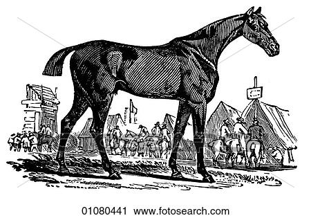 Flora & Fauna - line art - a 19th century engraving Animal - mammal Horse View Large Illustration Clip Art - Flora & Fauna - line art - a 19th century engraving Animal - mammal Horse. Fotosearch