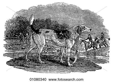 Flora & Fauna - line art - a 19th century engraving Animal Dog Harrier View Large Illustration Clipart - Flora & Fauna - line art - a 19th century engraving Animal Dog Harrier. Fotosearch