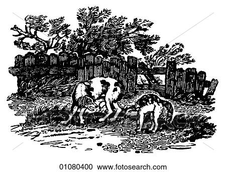 Clipart - Flora & Fauna - line art - a 19th century engraving Animal Dog. Fotosearch