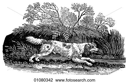 Flora & Fauna - line art - a 19th century engraving Animal Dog Cocker Spaniel The Cocker was used to drive Woodcocks from cover. The Spaniel breed originated in Spain, thus the name. Most modern versions of the breed have been bred in England as hunting View Large Illustration Drawing - Flora & Fauna - line art - a 19th century engraving Animal Dog Cocker Spaniel The Cocker was used to drive Woodcocks from cover. The Spaniel breed originated in Spain, thus the name. Most modern versions of the breed have been bred in England as hunting. Fotosearch