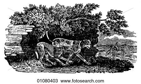 Flora & Fauna - line art - a 19th century engraving Animal - mammal Dogs View Large Illustration Drawing - Flora & Fauna - line art - a 19th century engraving Animal - mammal Dogs. Fotosearch