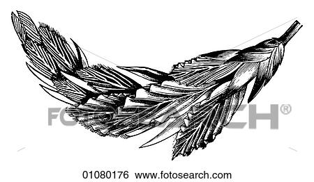 Stock Illustration - Flora & Fauna - line art - a 19th century engraving Plant Flower. Fotosearch