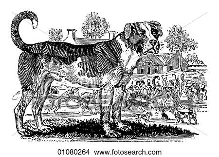 Flora & Fauna - line art - a 19th century engraving Animal Dog Mastiff This breed has been a guard dog in Britain since 2000 BC. There is evidence to show that this breed was used throughout Europe and Asia as far back as 3000 BC. After the Roman occupa View Large Illustration Stock Illustration - Flora & Fauna - line art - a 19th century engraving Animal Dog Mastiff This breed has been a guard dog in Britain since 2000 BC. There is evidence to show that this breed was used throughout Europe and Asia as far back as 3000 BC. After the Roman occupa. Fotosearch