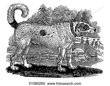 Flora & Fauna - line art - a 19th century engraving Animal Dog Newfoundland Dog View Large Illustration Stock Illustration - Flora & Fauna - line art - a 19th century engraving Animal Dog Newfoundland Dog. Fotosearch
