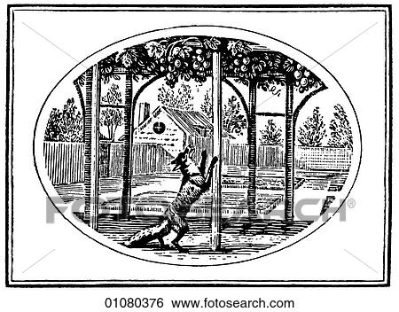 Stock Illustration - Flora & Fauna - line art - a 19th century engraving Animal Fox It has been said of fox hunting that it is "the pursuit of the inedible by the unspeakable. ". Fotosearch