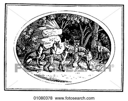 Flora & Fauna - line art - a 19th century engraving Animal View Large Illustration Stock Illustration - Flora & Fauna - line art - a 19th century engraving Animal. Fotosearch