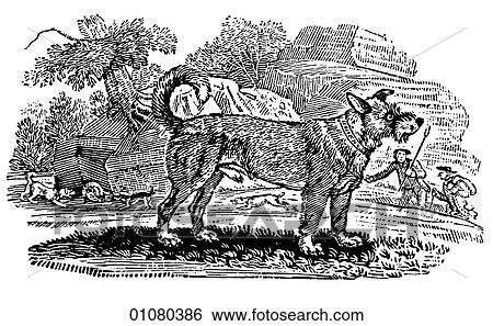 Flora & Fauna - line art - a 19th century engraving Animal Dog Terrier Bred to hunt rodents around a farm or stable. View Large Illustration Stock Illustration - Flora & Fauna - line art - a 19th century engraving Animal Dog Terrier Bred to hunt rodents around a farm or stable.. Fotosearch