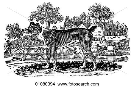 Stock Illustration - Flora & Fauna - line art - a 19th century engraving Animal Dog Cur Dog - a mongrel or "lesser" breed of dog.. Fotosearch