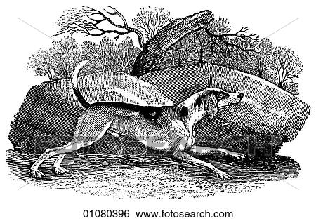 Flora & Fauna - line art - a 19th century engraving Animal Dog Fox Hound It has been said of fox hunting that it is "the pursuit of the inedible by the unspeakable. " View Large Illustration Stock Illustration - Flora & Fauna - line art - a 19th century engraving Animal Dog Fox Hound It has been said of fox hunting that it is "the pursuit of the inedible by the unspeakable. ". Fotosearch