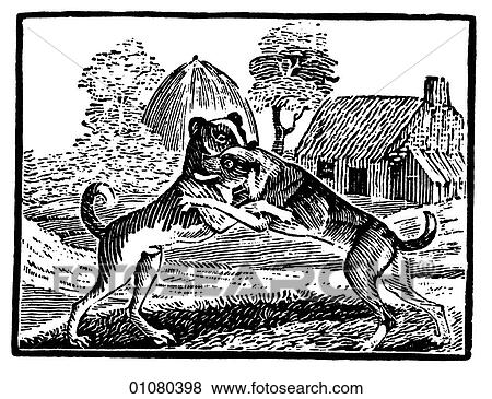 Flora & Fauna - line art - a 19th century engraving Animal Dogs fight View Large Illustration Stock Illustration - Flora & Fauna - line art - a 19th century engraving Animal Dogs fight. Fotosearch