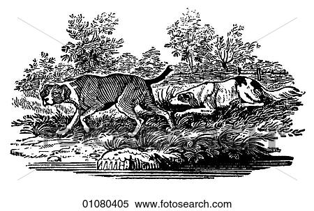 Flora & Fauna - line art - a 19th century engraving Animal Dogs View Large Illustration Stock Illustration - Flora & Fauna - line art - a 19th century engraving Animal Dogs. Fotosearch