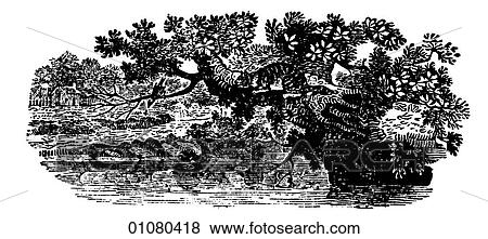 Flora & Fauna - line art - a 19th century engraving Animal Cat domestic View Large Illustration Stock Illustration - Flora & Fauna - line art - a 19th century engraving Animal Cat domestic. Fotosearch