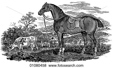 Flora & Fauna - line art - a 19th century engraving Animal - mammal Horse View Large Illustration Stock Illustration - Flora & Fauna - line art - a 19th century engraving Animal - mammal Horse. Fotosearch