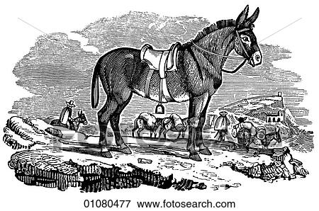 Flora & Fauna - line art - a 19th century engraving Animal Donkey or burro Slower than a horse but extremely surefooted, the donkey has been a beast of burden for centuries. View Large Illustration Stock Illustration - Flora & Fauna - line art - a 19th century engraving Animal Donkey or burro Slower than a horse but extremely surefooted, the donkey has been a beast of burden for centuries.. Fotosearch