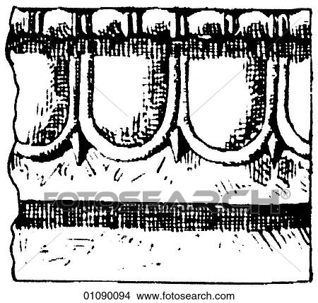 Patterns & Motifs - line art Assyrian Ornament Highly stylized motifs and decorative patterns. Assyria is an ancient kingdom in Mesopotamia (modern day northern Iraq and south eastern Turkey) which lies between the Tigris & Euphrates rivers (Mesopotamia View Large Illustration Stock Illustration - Patterns & Motifs - line art Assyrian Ornament Highly stylized motifs and decorative patterns. Assyria is an ancient kingdom in Mesopotamia (modern day northern Iraq and south eastern Turkey) which lies between the Tigris & Euphrates rivers (Mesopotamia. Fotosearch