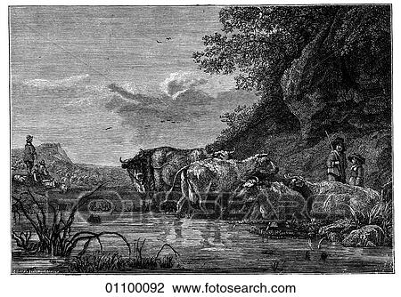 Paintings & Engravings - Engraving - Holland "Cattle at the Pond" by Aelbert Cuyp (1620-1691) The artist was born in the year the Pilgrim Fathers left Plymouth, England, for America. He died in the year that Massachusetts absorbed Plymouth colony and View Large Illustration Drawing - Paintings & Engravings - Engraving - Holland "Cattle at the Pond" by Aelbert Cuyp (1620-1691) The artist was born in the year the Pilgrim Fathers left Plymouth, England, for America. He died in the year that Massachusetts absorbed Plymouth colony and. Fotosearch