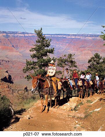 Picture of Arizona, Grand Canyon, group of people horseback riding ...