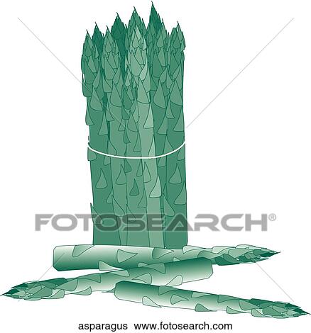 Asparagus View Large Illustration Stock Illustration - Asparagus. Fotosearch