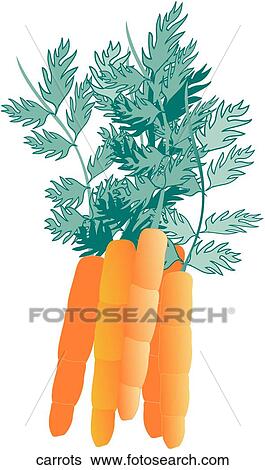 Carrots View Large Illustration Stock Illustration - Carrots. Fotosearch