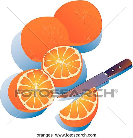 Stock Illustration - Oranges. Fotosearch