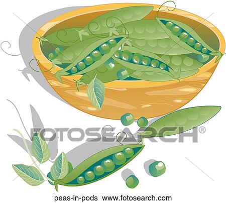 Stock Illustration - Peas in Pods. Fotosearch