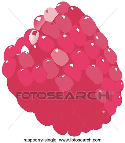 Clip Art - Raspberry Single. Fotosearch