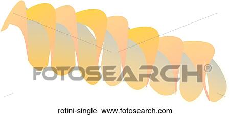 Clip Art - Rotini Single. Fotosearch