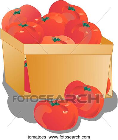 Stock Illustration - Tomatoes. Fotosearch