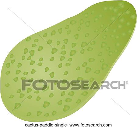 Clip Art - Cactus Paddle Single. Fotosearch