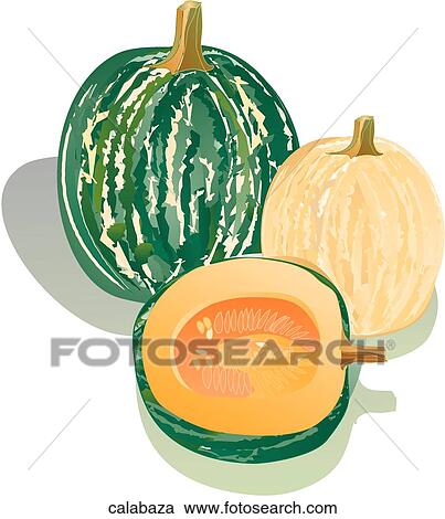 Clipart - Calabaza. Fotosearch