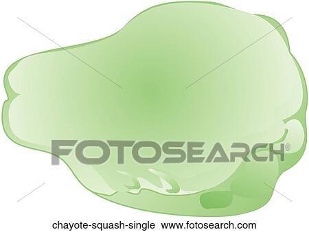 Chayote Squash Single View Large Illustration Clip Art - Chayote Squash Single. Fotosearch