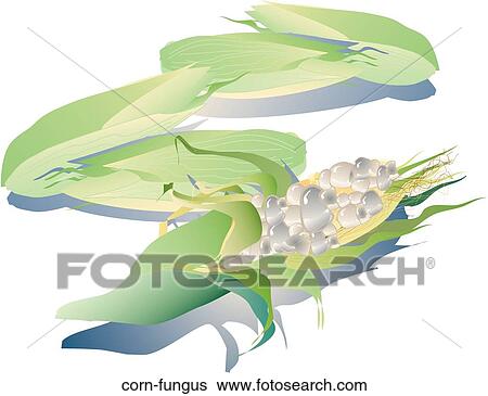Stock Illustration - Corn Fungus. Fotosearch