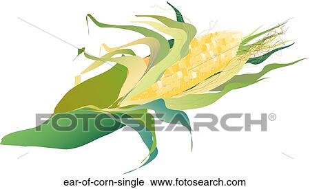 Clip Art - Ear of Corn Single. Fotosearch