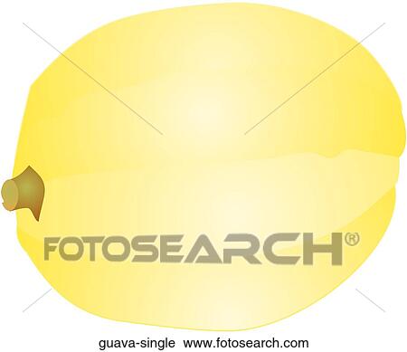 Clip Art - Guava Single. Fotosearch