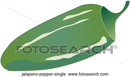 Jalapeño Pepper Single View Large Illustration Clip Art - Jalapeño Pepper Single . Fotosearch