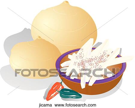 Clipart - Jicama . Fotosearch