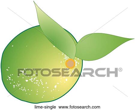 Lime Single View Large Illustration Clip Art - Lime Single. Fotosearch