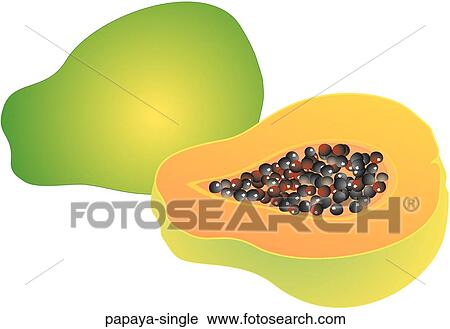 Papaya Single View Large Illustration Clip Art - Papaya Single. Fotosearch