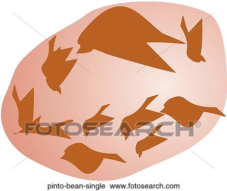 Pinto Bean Single View Large Illustration Clip Art - Pinto Bean Single. Fotosearch