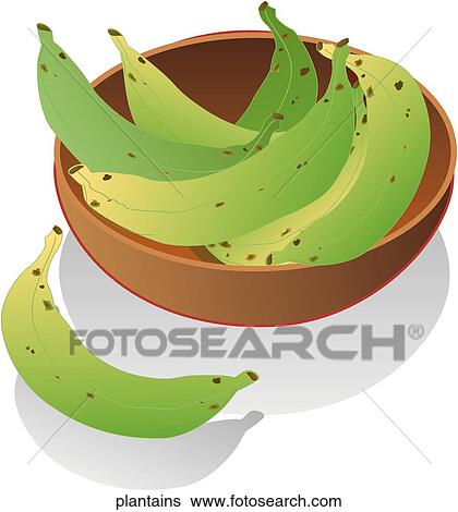 Plantains View Large Illustration Stock Illustration - Plantains. Fotosearch